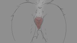 anonymous_artist, animal_genitalia, animal_vulva, anthro, anthro_on_feral