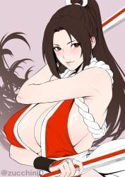 mai_shiranui, fatal_fury, king_of_fighters, snk, the_king_of_fighters