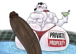 brian_griffin, adult_swim, family_guy, intrigue, furryonline1