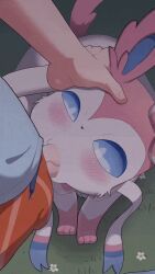 eeveelution, pokemon_(species), sylveon, nintendo, pokemon