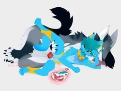 anthro, breed, breeder, canid, canine