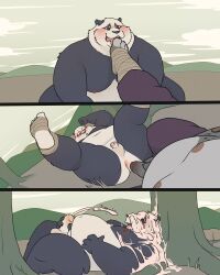 master_po_ping, tai_lung_(kung_fu_panda), dreamworks, dreamworks_animation, kung_fu_panda