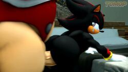 dr._eggman, eggman, shadow_the_hedgehog, sega, sonic_(series)