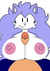 sonic_the_hedgehog, wacky_(sonic.exe), wacky_the_erizo, beat_banger, executable_mania