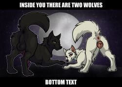 furaffinity, inside_you_there_are_two_wolves, twitter, bruhsugga, all_caps