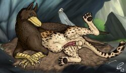 mythology, dragonczech, after_vore, animal_genitalia, anus
