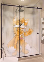 tails, tails_nine, tails_the_fox, sega, sonic_(series)