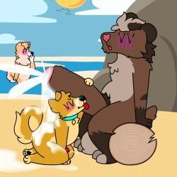 doug_polaris, animal_genitalia, anthro, balls, beach