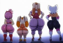 amy_rose, cream_the_rabbit, rouge_the_bat, vanilla_the_rabbit, sega