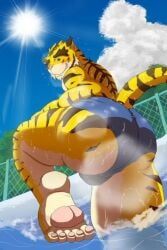 torahiko_ooshima, morenatsu, wo, anthro, ass