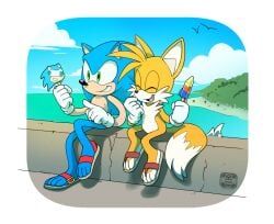 miles_prower, sonic_the_hedgehog, sega, sonic_the_hedgehog_(series), 4_toes