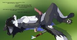 animal_genitalia, anthro, black_body, black_fur, blue_eyes