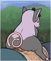 generation_3_pokemon, grumpig, pokemon_(species), nintendo, pokemon