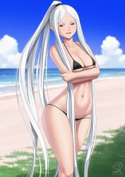oc, rocky-ace, 1girls, bare_midriff, beach