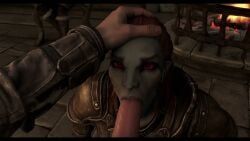 dunmer, irileth, jarl_balgruuf, skyrim, the_elder_scrolls