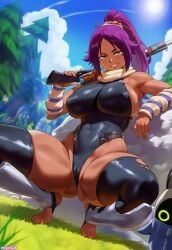 bangboo_(zenless_zone_zero), shihouin_yoruichi, yoruichi, bleach, bleach:_sennen_kessen-hen