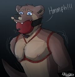 ollieotty, anthro, ball_gag, balls, bdsm