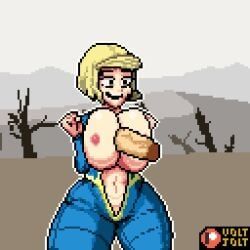 raider_(fallout), super_mutant, vault_dweller, vault_girl, fallout