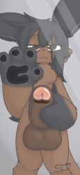 alator, against_surface, anthro, balls, black_ears