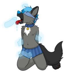jerome_blaze, black_fur, blue_hair, blue_nose, canine