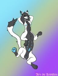 anatomy, android, anus, areola, ava-01_(alivia)