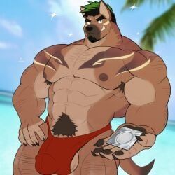 saeng, xxl_woofia, 1boy, abs, anthro