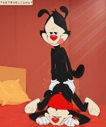 wakko_warner, yakko_warner, animaniacs, trueliamay, anal
