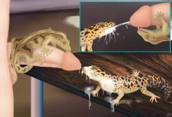 lusttheorydreams, ambiguous_gender, bodily_fluids, crested_gecko, cum