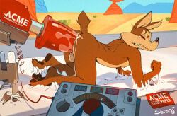 road_runner_(looney_tunes), wile_e._coyote, looney_tunes, warner_brothers, acme