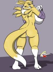 anna_(sailoranna), digimon_(species), renamon, bandai_namco, digimon