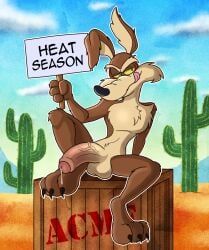 wile_e._coyote, coyote_vs._acme, looney_tunes, warner_brothers, dannynsfw