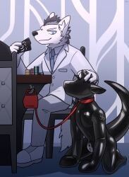 dragonborn_(dnd), lycanwolf, dungeons_and_dragons, hasbro, mythology
