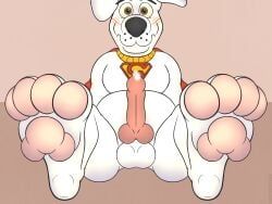krypto, dc_comics, krypto_the_superdog, bembosdoggo, animal_genitalia