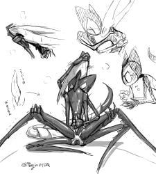 grimmchild_(hollow_knight), hollow_knight_(character), vessel_(species), hollow_knight, hollow_knight_(franchise)