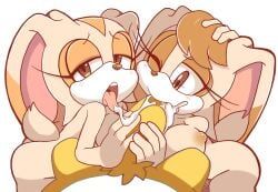 cream_the_rabbit, miles_tails_prower, mobian_(species), tails_the_fox, vanilla_the_rabbit