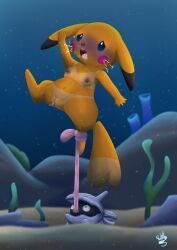 female_pikachu, pikachu, pokemon_(species), shellder, nintendo