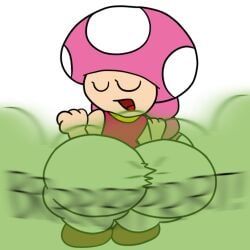 toadette, mario_(series), nintendo, valisemma, 1girls