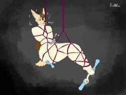 anthro, bdsm, bondage, bound, canid