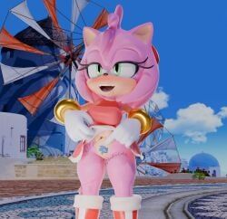 amy_rose, sonic_the_hedgehog, sega, sonic_(series), sonic_the_hedgehog_(series)