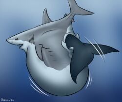 discovery_channel, shark_week, dolorcin, ambiguous_gender, aquatic