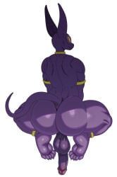 beerus, dragon_ball, dragon_ball_super, sssonic2, anthro