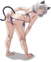 sanya_v._litvyak, strike_witches, world_witches_series, arobiro, 1girls