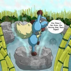 generation_4_pokemon, generation_6_pokemon, hybrid_pokemon, mega_evolution, mega_lucario