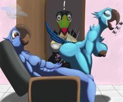 blu_(rio), eva_(rio), jewel_(rio), blue_sky_studios, rio_(series)