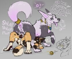 auden, accessory, african_wild_dog, animal_genitalia, animal_penis