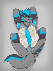 canid_kaiba, 4_toes, abs, animal_genitalia, animal_penis