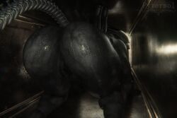 female_xenomorph, xenomorph, alien_(franchise), felix_animations, pytersol