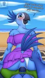 blu_(rio), jewel_(rio), blue_sky_studios, rio_(series), annoyed