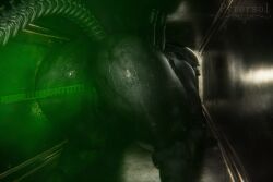 female_xenomorph, xenomorph, alien_(franchise), felix_animations, pytersol