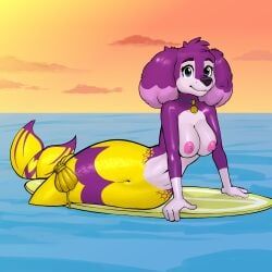 paw_patrol, diacordst, 4_fingers, anthro, aquatic